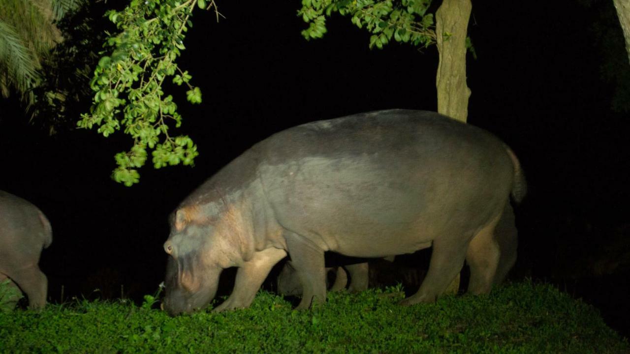 Hotel Kwalucia Private Safari Retreat Saint Lucia Estuary Exterior foto
