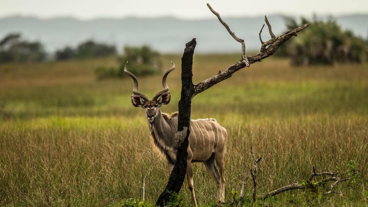 Hotel Kwalucia Private Safari Retreat Saint Lucia Estuary Exterior foto