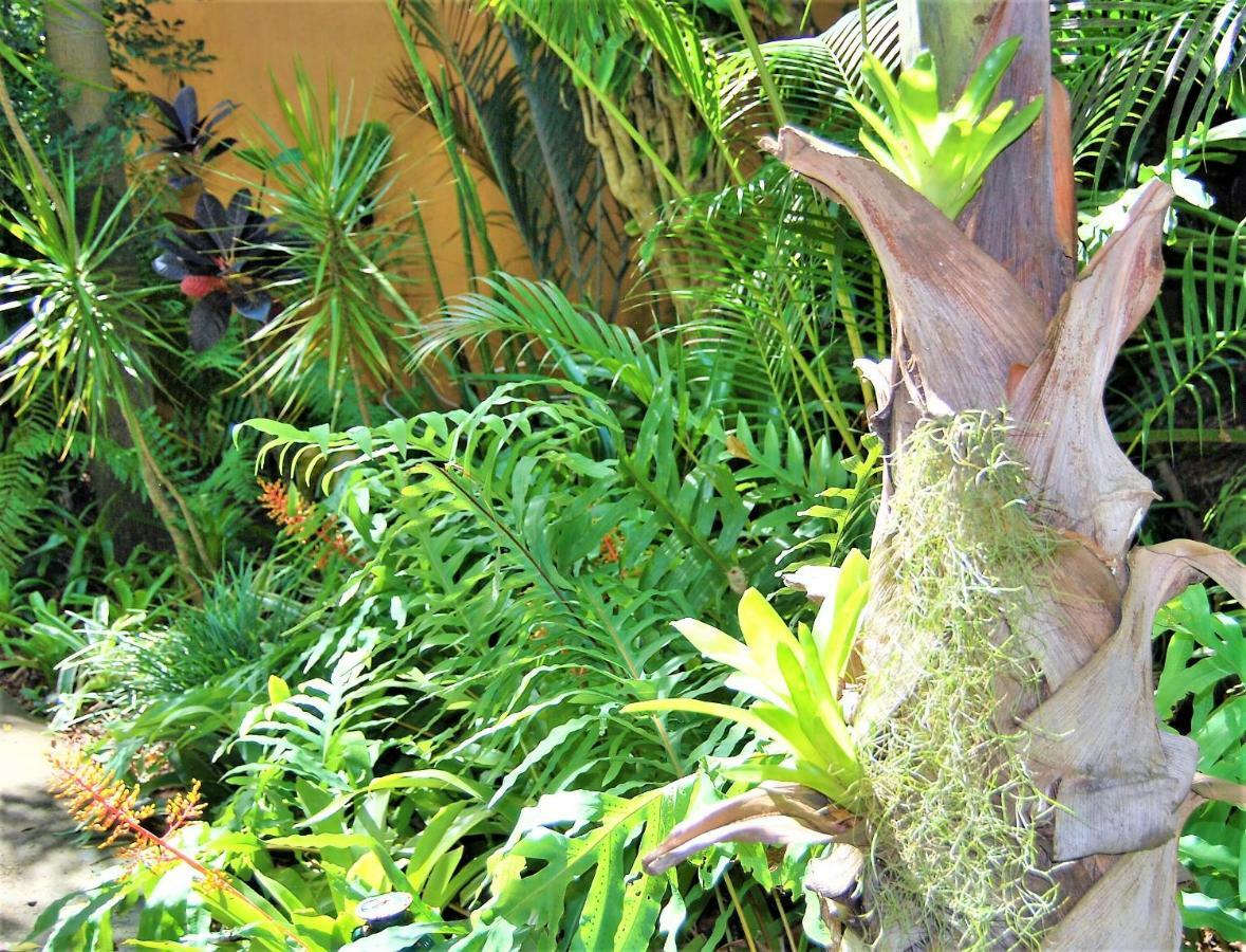 Hotel Kwalucia Private Safari Retreat Saint Lucia Estuary Exterior foto